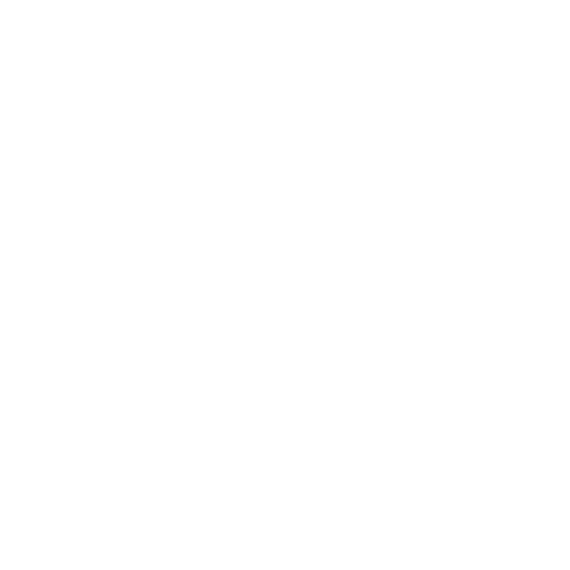 VA Support & Digital Operations